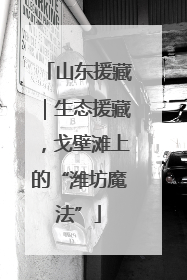 山东援藏｜生态援藏，戈壁滩上的“潍坊魔法”
