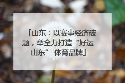 山东：以赛事经济破题，举全力打造“好运山东” 体育品牌