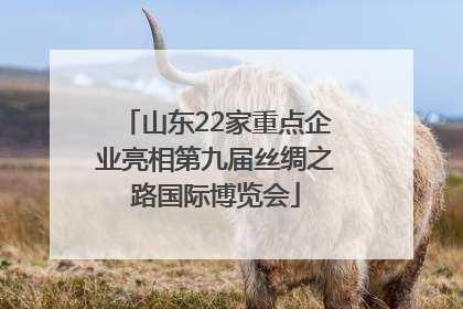 山东22家重点企业亮相第九届丝绸之路国际博览会