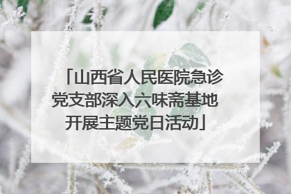 山西省人民医院急诊党支部深入六味斋基地开展主题党日活动