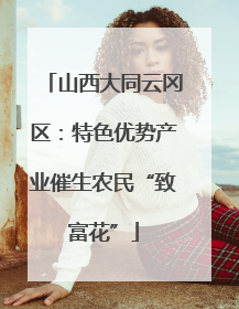 山西大同云冈区：特色优势产业催生农民“致富花”