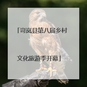 岢岚县第八届乡村文化旅游季开幕