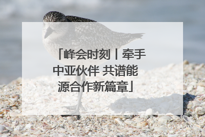 峰会时刻丨牵手中亚伙伴 共谱能源合作新篇章