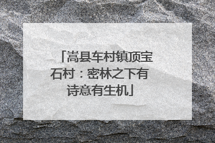 嵩县车村镇顶宝石村：密林之下有诗意有生机