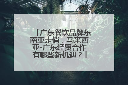 广东餐饮品牌东南亚走俏，马来西亚-广东经贸合作有哪些新机遇？