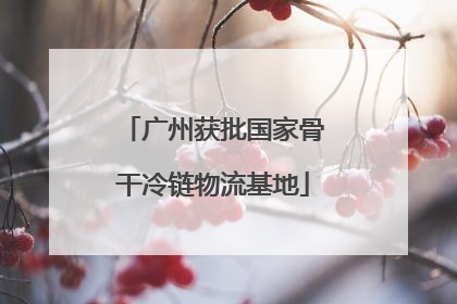 广州获批国家骨干冷链物流基地