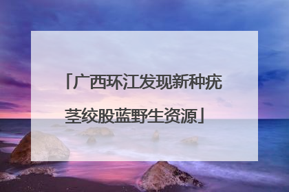 广西环江发现新种疣茎绞股蓝野生资源