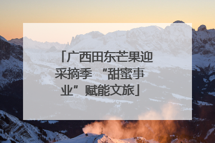 广西田东芒果迎采摘季 “甜蜜事业”赋能文旅