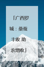 广西罗城：桑蚕丰收 助农增收