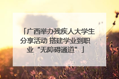 广西举办残疾人大学生分享活动 搭建学业到职业“无障碍通道”