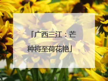 广西三江：芒种将至荷花艳