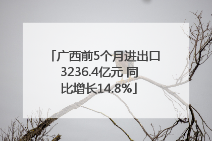 广西前5个月进出口3236.4亿元 同比增长14.8%