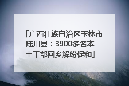 广西壮族自治区玉林市陆川县：3900多名本土干部回乡解纷促和
