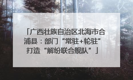 广西壮族自治区北海市合浦县：部门“常驻+轮驻”打造“解纷联合舰队”