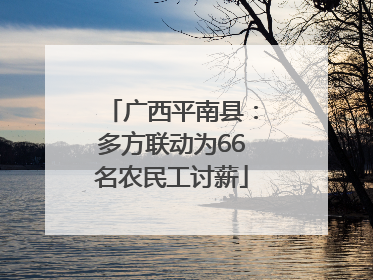 广西平南县：多方联动为66名农民工讨薪