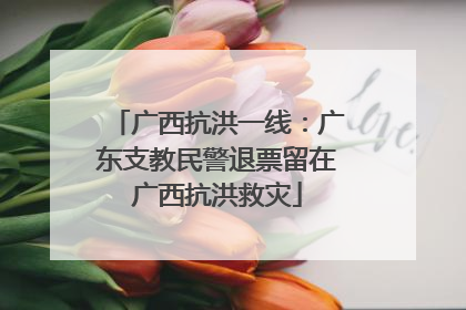 广西抗洪一线：广东支教民警退票留在广西抗洪救灾