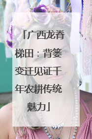 广西龙脊梯田：背篓变迁见证千年农耕传统魅力