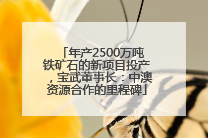 年产2500万吨铁矿石的新项目投产，宝武董事长：中澳资源合作的里程碑