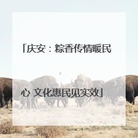 庆安：粽香传情暖民心 文化惠民见实效