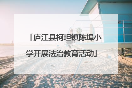 庐江县柯坦镇陈埠小学开展法治教育活动
