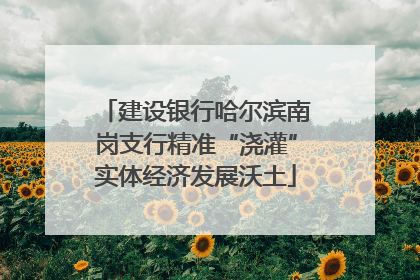 建设银行哈尔滨南岗支行精准“浇灌”实体经济发展沃土