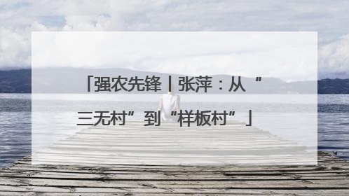 强农先锋丨张萍：从“三无村”到“样板村”