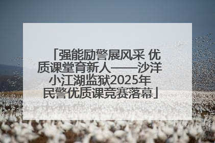 强能励警展风采 优质课堂育新人——沙洋小江湖监狱2025年民警优质课竞赛落幕