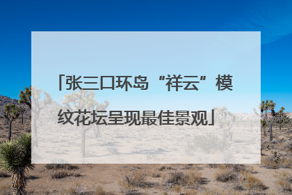 张三口环岛“祥云”模纹花坛呈现最佳景观