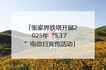 张家界铁塔开展2025年“5.17”电信日宣传活动