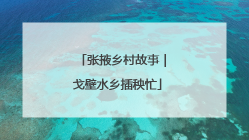 张掖乡村故事｜戈壁水乡插秧忙