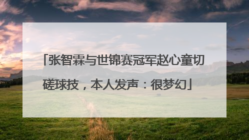 张智霖与世锦赛冠军赵心童切磋球技，本人发声：很梦幻