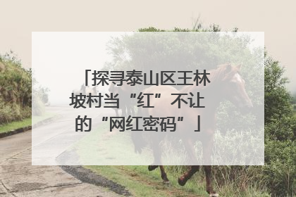 探寻泰山区王林坡村当“红”不让的“网红密码”