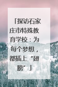 探访石家庄市特殊教育学校：为每个梦想，都插上“翅膀”
