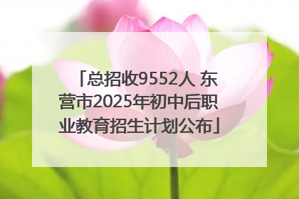 总招收9552人 东营市2025年初中后职业教育招生计划公布