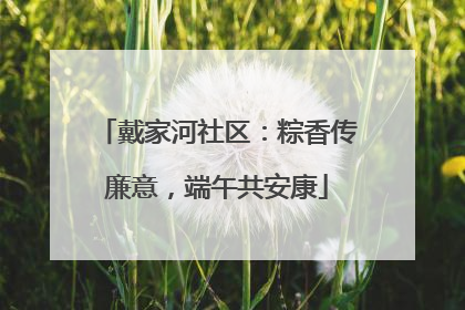 戴家河社区：粽香传廉意，端午共安康