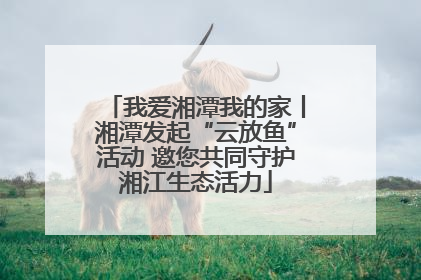 我爱湘潭我的家丨湘潭发起“云放鱼”活动 邀您共同守护湘江生态活力