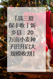 战三夏 保丰收丨新乡县：20万亩小麦种子田开启大规模收割