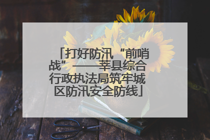 打好防汛“前哨战”——莘县综合行政执法局筑牢城区防汛安全防线