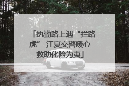执勤路上遇“拦路虎” 江夏交警暖心救助化险为夷