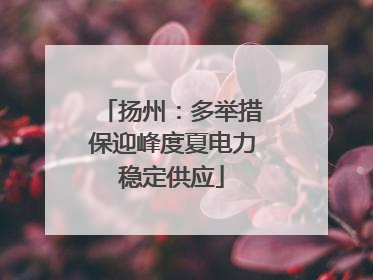 扬州：多举措保迎峰度夏电力稳定供应