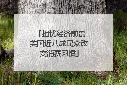 担忧经济前景 美国近八成民众改变消费习惯