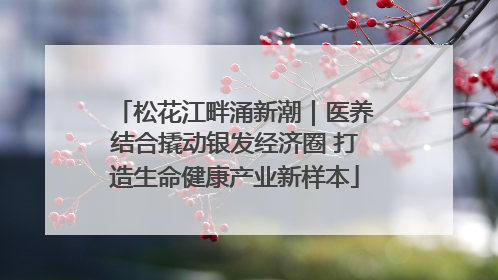 松花江畔涌新潮｜医养结合撬动银发经济圈 打造生命健康产业新样本