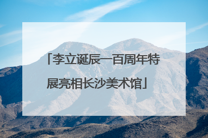 李立诞辰一百周年特展亮相长沙美术馆