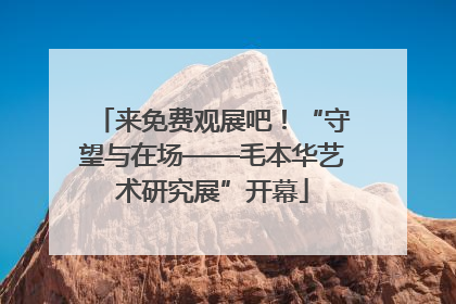 来免费观展吧！“守望与在场——毛本华艺术研究展”开幕