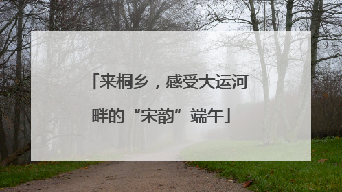 来桐乡，感受大运河畔的“宋韵”端午