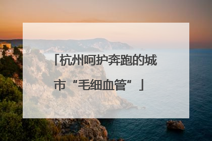 杭州呵护奔跑的城市“毛细血管”