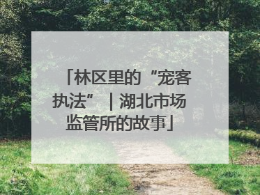 林区里的“宠客执法”｜湖北市场监管所的故事