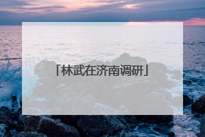 林武在济南调研