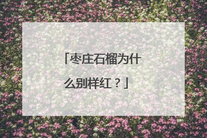 枣庄石榴为什么别样红？