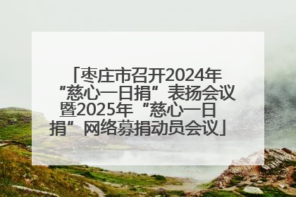 枣庄市召开2024年“慈心一日捐”表扬会议暨2025年“慈心一日捐”网络募捐动员会议